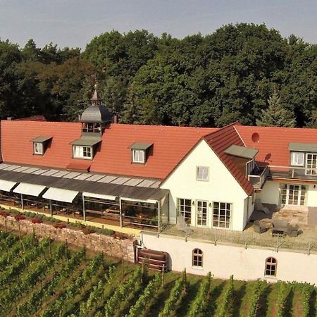 Pension Bella Vista - Winzerhof Golk Meissen Bagian luar foto