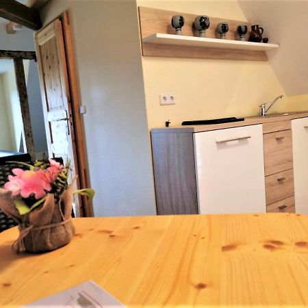 Pension Bella Vista - Winzerhof Golk Meissen Bagian luar foto