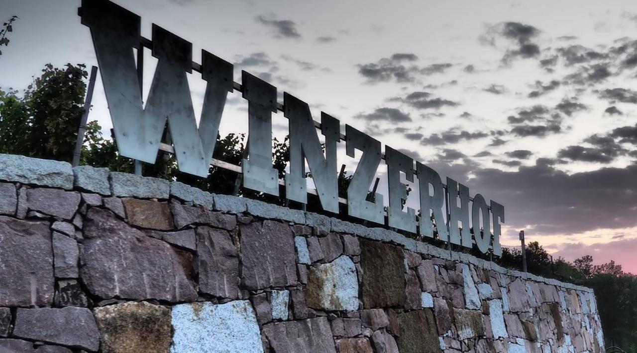 Pension Bella Vista - Winzerhof Golk Meissen Bagian luar foto
