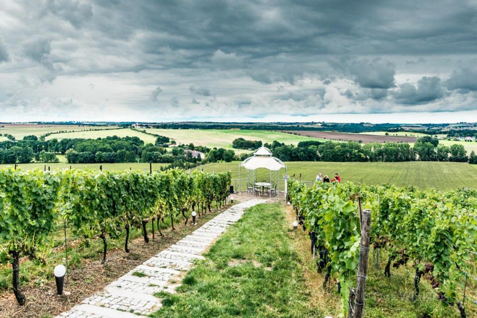 Pension Bella Vista - Winzerhof Golk Meissen Bagian luar foto