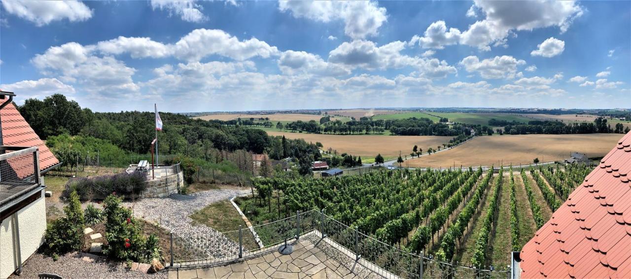 Pension Bella Vista - Winzerhof Golk Meissen Bagian luar foto