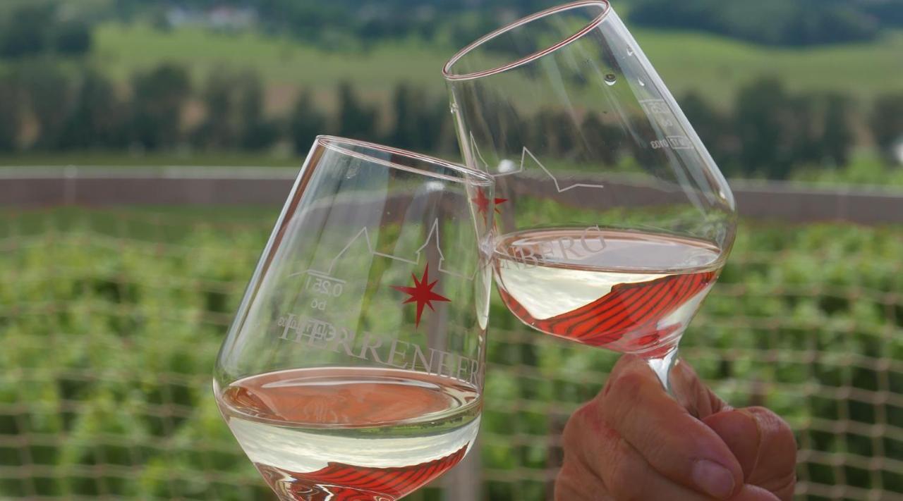 Pension Bella Vista - Winzerhof Golk Meissen Bagian luar foto