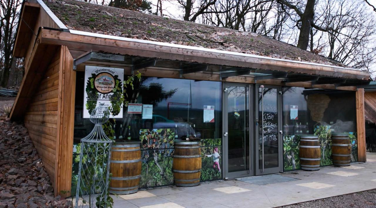 Pension Bella Vista - Winzerhof Golk Meissen Bagian luar foto