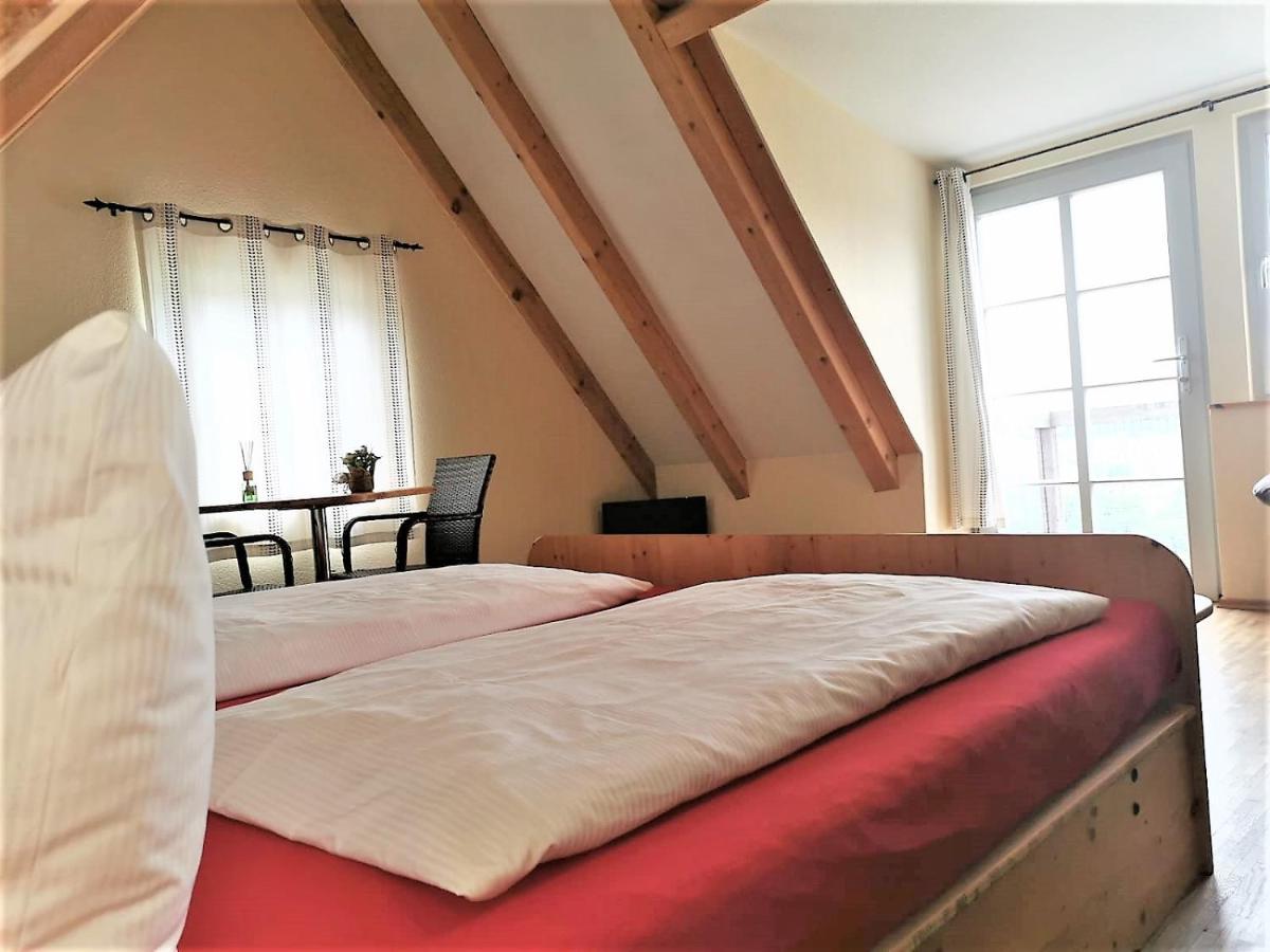 Pension Bella Vista - Winzerhof Golk Meissen Bagian luar foto