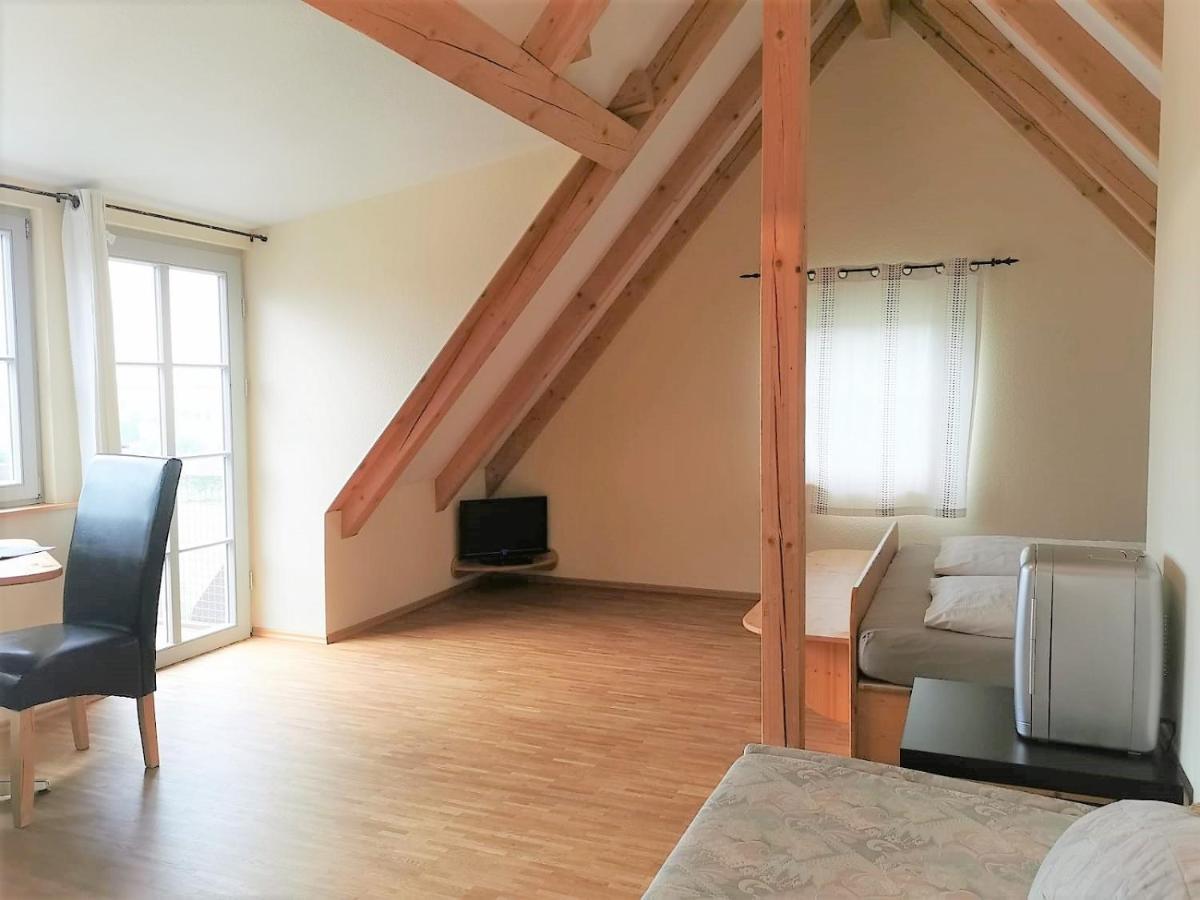 Pension Bella Vista - Winzerhof Golk Meissen Bagian luar foto
