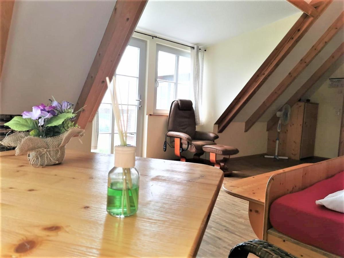 Pension Bella Vista - Winzerhof Golk Meissen Bagian luar foto