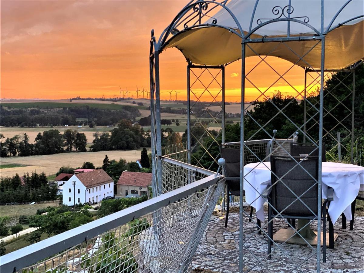 Pension Bella Vista - Winzerhof Golk Meissen Bagian luar foto