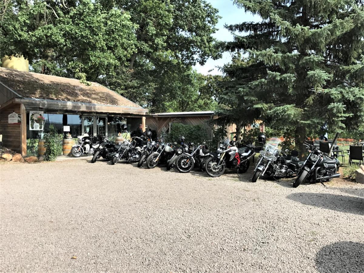 Pension Bella Vista - Winzerhof Golk Meissen Bagian luar foto