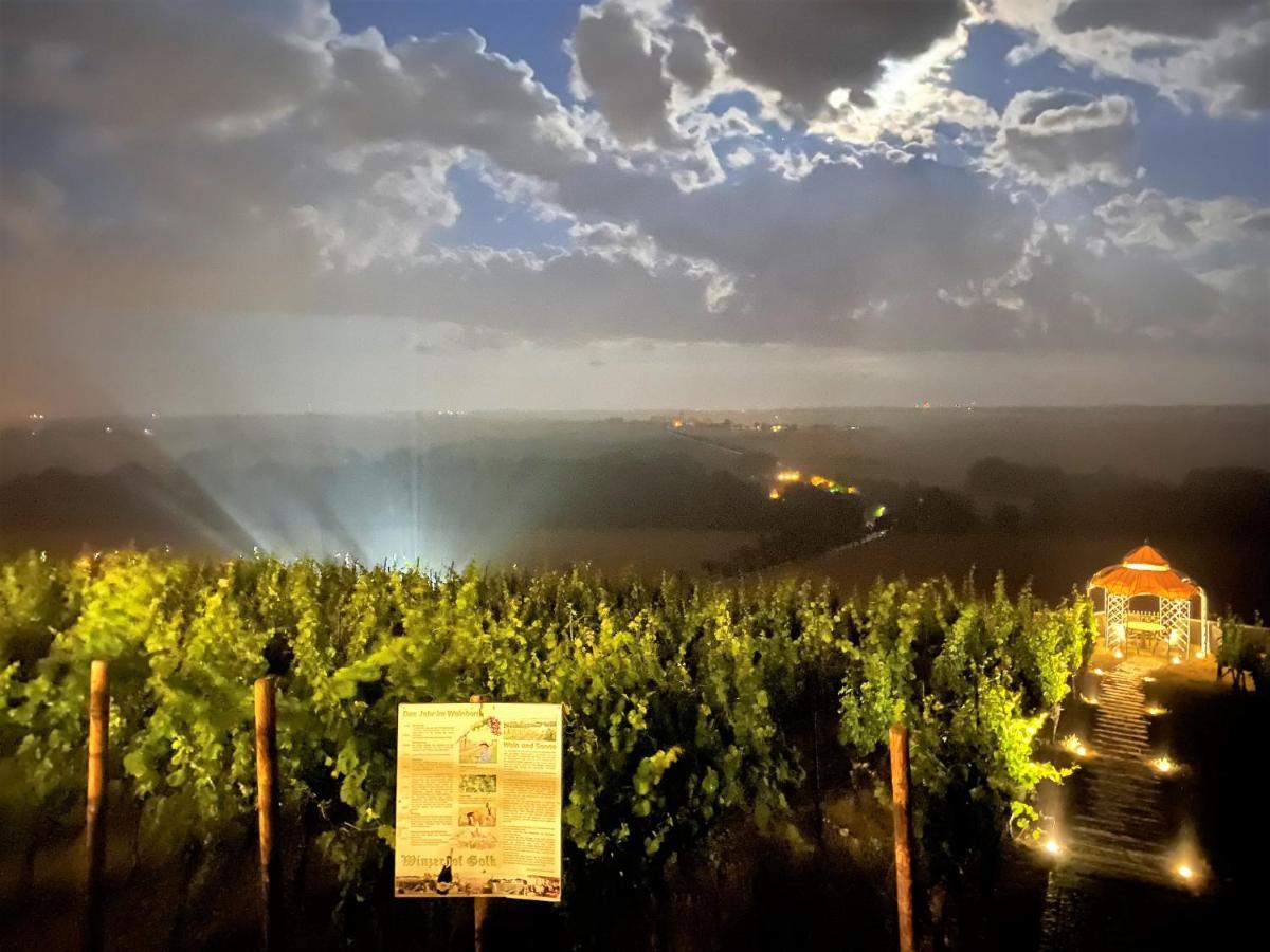 Pension Bella Vista - Winzerhof Golk Meissen Bagian luar foto